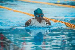 Adult Man Doing Laps In The Pool